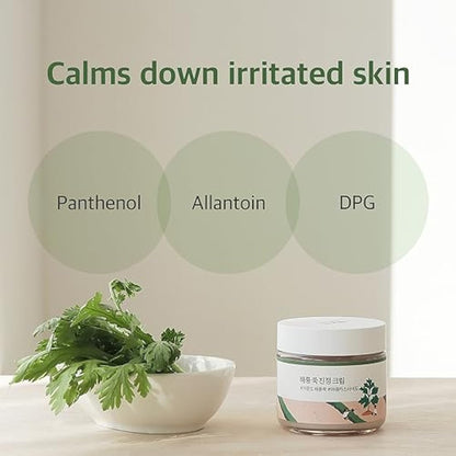 ROUND LAB Mugwort Calming Cream (80 ml)