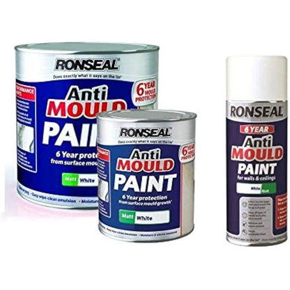 Ronseal 6 Year Anti Mould Paint Matt White 750Ml