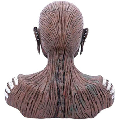 Nemesis Now Officially Licensed Iron Maiden Book of Souls Bust Box, Brown, 26cm (Large)