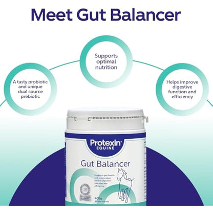 Protexin Equine Horse & Pony Gut Balancer, 700g, Advanced Digestive Support