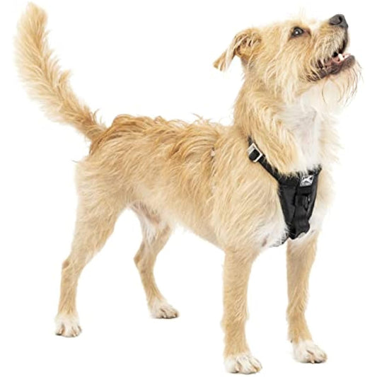 Kurgo Enhanced Strength Tru-Fit Dog Car Harness, Crash Tested, Steel Nesting Buckles, Includes Seatbelt Tether, Small-Black