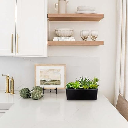 Briful Artificial Succulent Plants Faux Succulents in Black Ceramic Pot, Fake Plants Artificial Succulents Potting Mix Artificial Plants in Pot for Office Home Bathroom Shelf Decor