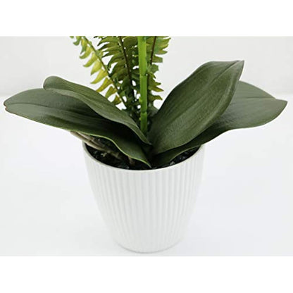 Olrla Artificial White Orchid Flower in Pot, Potted Butterfly Orchid for Office Home Wedding Bathroom Decor Table Centerpiece