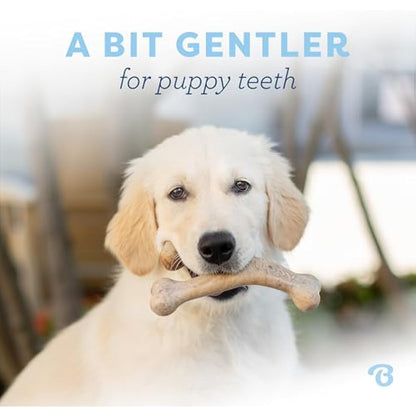 Benebone Puppy Indestructible Wishbone Dog Chew Toy for Aggressive Chewers, Long Lasting Tough Teething Boredom Breaker for Puppies, Real Bacon Flavour, For Small Dogs, Made in the USA