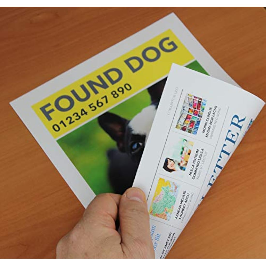 PPD Double Sided Photo Paper, Matte Brochure Paper A3, 11 x 17 for Inkjet Printer, 210 GSM, 9 mil Tabloid Size for Magazine, Flyer, Presentation, Program, Instant Dry & Water Resistant (50 Sheets)