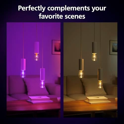 Philips Hue Lightguide ST70 Edison Smart Bulb, White and Color Light, Bluetooth Compatible, Voice Control with Alexa, Apple Home & Google Assistant