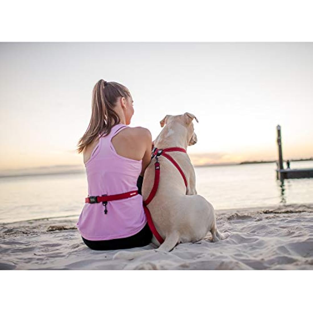 EzyDog Road Runner Dog Leash, Different Colours Available