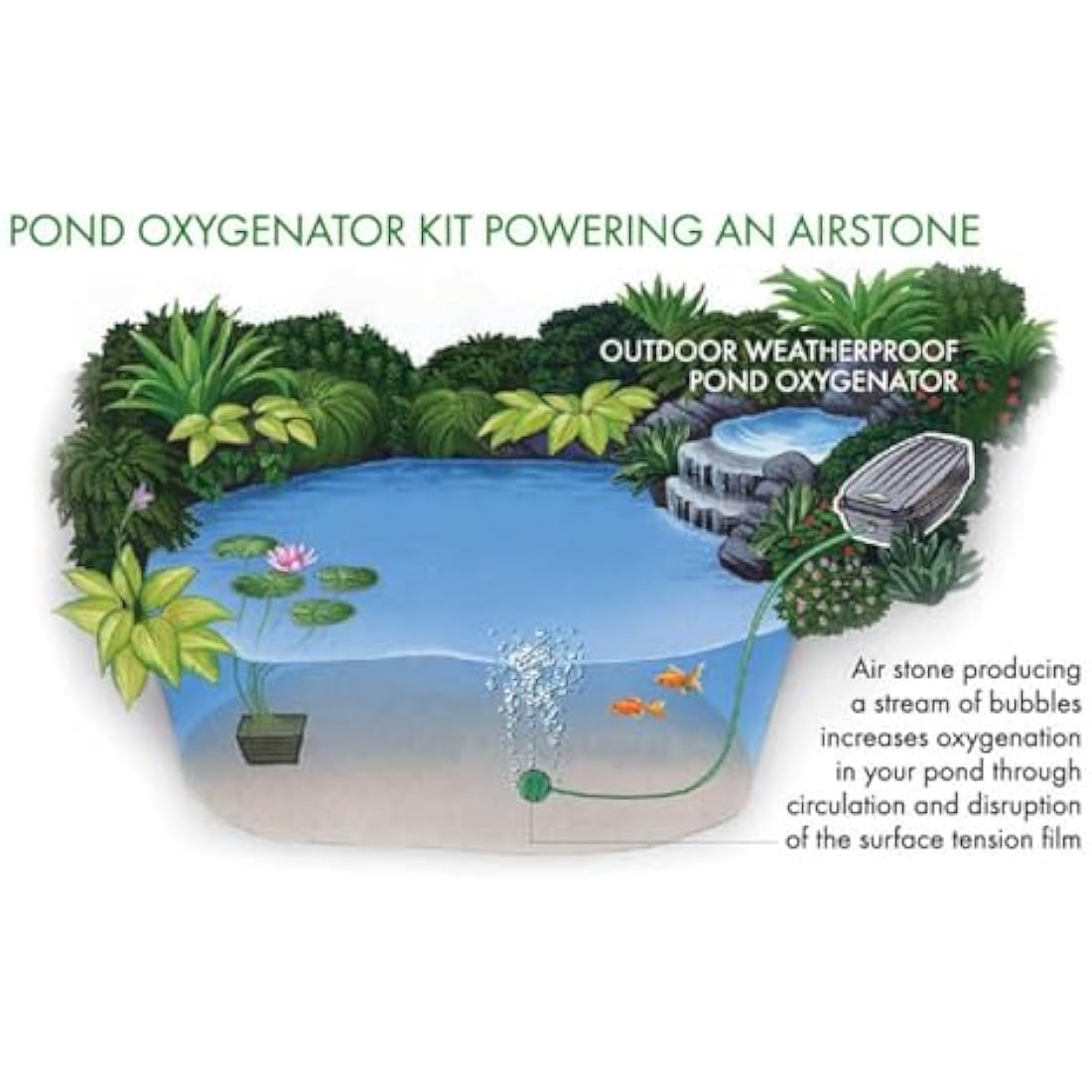Blagdon Pond Water Oxygenator Kit, 1 Outlet Aeration Air Pump for Small Ponds up to 1000 litres, Green