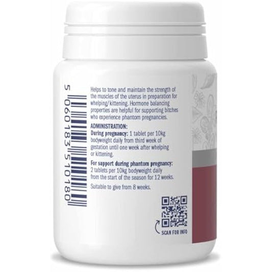 Dorwest Raspberry Leaf Tablets for Dogs And Cats, 200 Tablets, Pregnancy Support For Pets – For Natural Hormonal Balance and Phantom Pregnancies