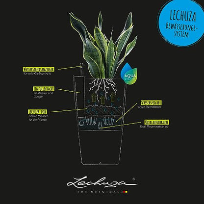 Lechuza CILINDRO Color 32 Self Watering Planter Garden Plastic Indoor and Outdoor Flower Plant Pot with Drainage Hole D32 H56 cm White