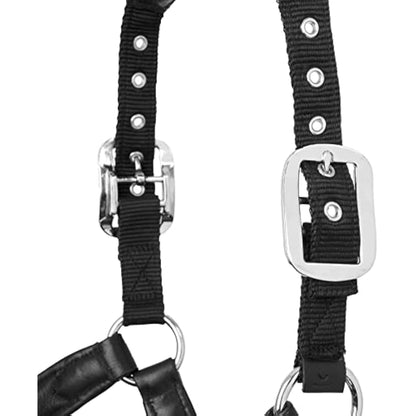 LeMieux Capella Headcollar for Horses - Leather/Nylon - Pressure Relief & Soft Touch