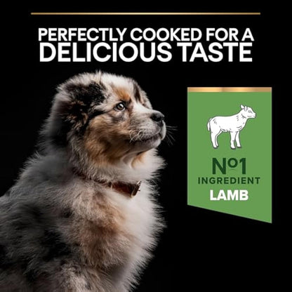 PRO PLAN Sensitive Digestion Medium Puppy Dry Dog Food Lamb 3kg, For Neutered Dogs