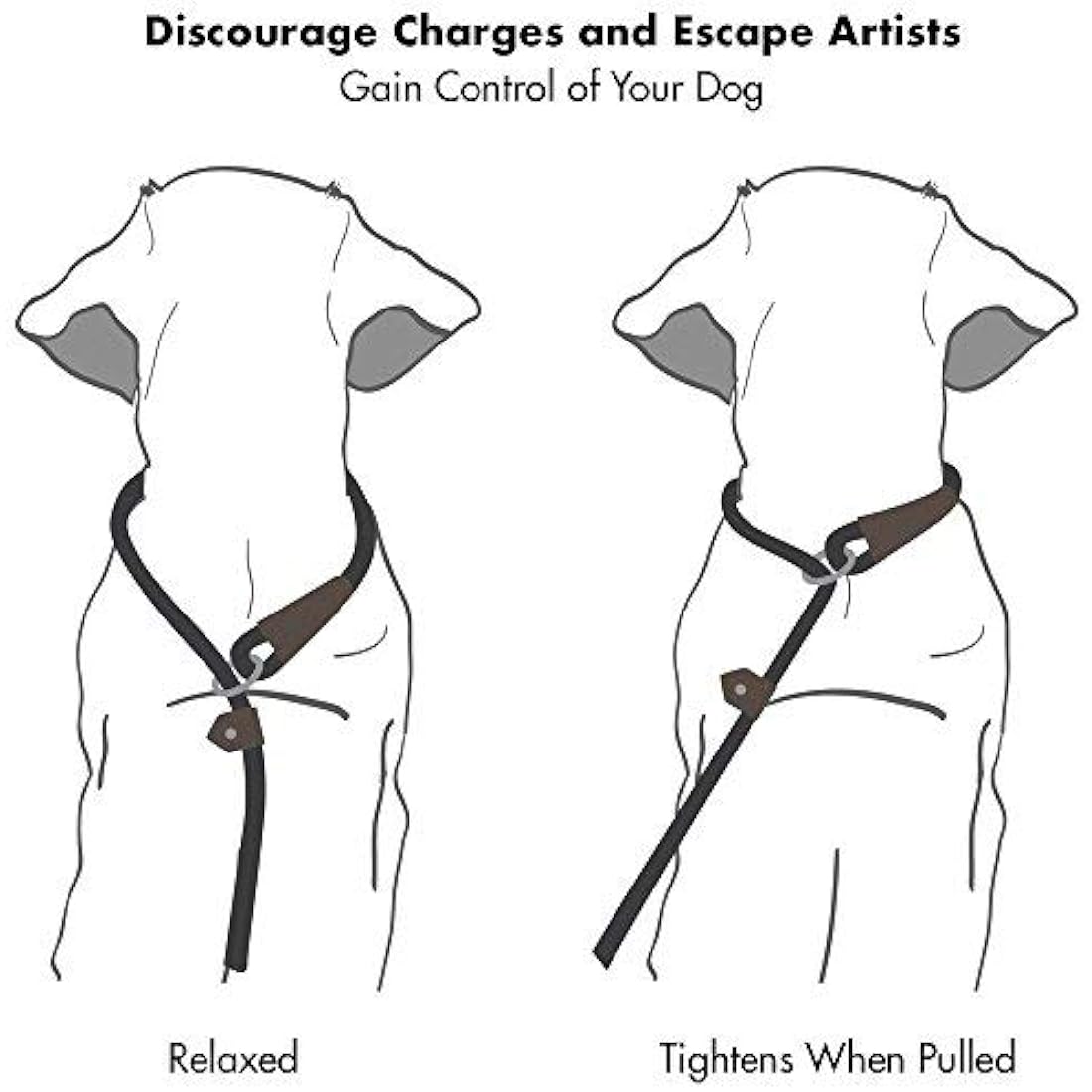 Friends Forever Extremely Durable Dog Rope Leash, Premium Quality Training Slip Lead, Reflective, Thick Heavy Duty, Sturdy, No Pull, Comfortable For The Strong Large Medium Small Pets 6 feet, Green