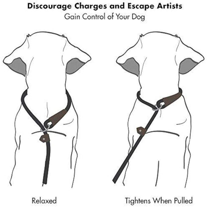 Friends Forever Extremely Durable Dog Rope Leash, Premium Quality Training Slip Lead, Reflective, Thick Heavy Duty, Sturdy, No Pull, Comfortable For The Strong Large Medium Small Pets 6 feet, Green