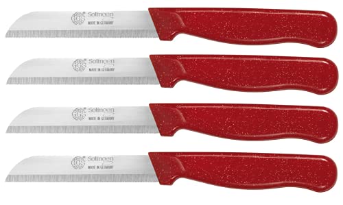 GGS Solingen Knife Set Includes Vegetable, Fruit, Tomato, Steak, Serrated, Dishwasher Safe, German Stainless Steel, Chef Kitchen (Red Set of 4)