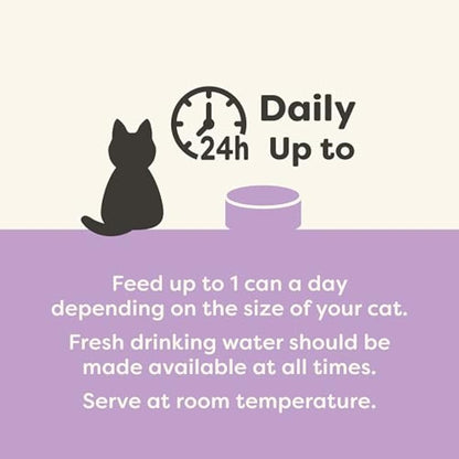 Applaws Natural Cat Food, Kitten Multipack Chicken and Fish Selection in Jelly Tin, 6 x 70 g