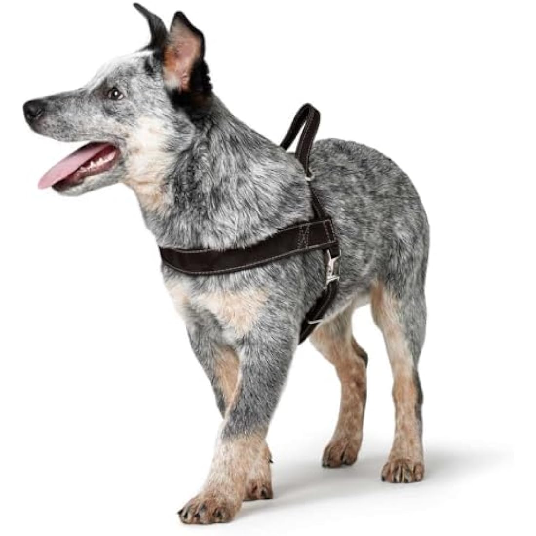 Hunter Norwegian harness for Dogs Hunting, 55 x 71-97 cm, Black