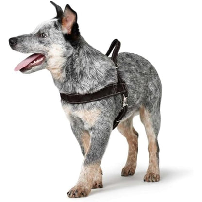Hunter Norwegian harness for Dogs Hunting, 55 x 71-97 cm, Black