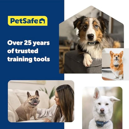 PetSafe - Anti-Bark Spray Refill, 300-400 Jets, Ecological Formula, Compatible With Collar And Spray Training System (old Version) - Citronella