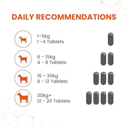 Vetzyme Conditioning Tablets for Dogs (3000 Tablets) - With B Complex Vitamins to Promote Fitness and Support a Healthy Immune System