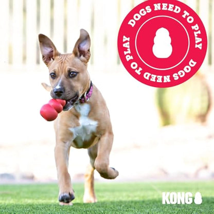 KONG - Puppy Flyer - Teething Rubber, Flying Disc Dog Toy - For Small Puppies (Assorted Colours)