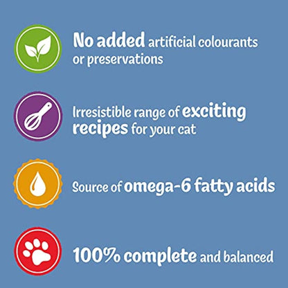 FELIX Original Mixed Selection in Gravy Wet Cat Food 12x100g (Pack of 4)