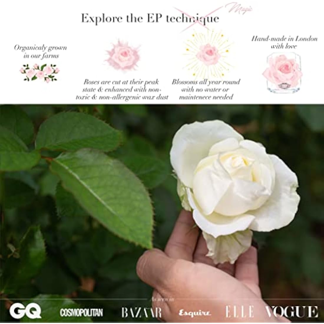 Eternal Petals A 100% Real Rose That Lasts Years, Handmade in UK – Gold Solo with A Multicolour Swarovski Crystal (Blue Lagoon)