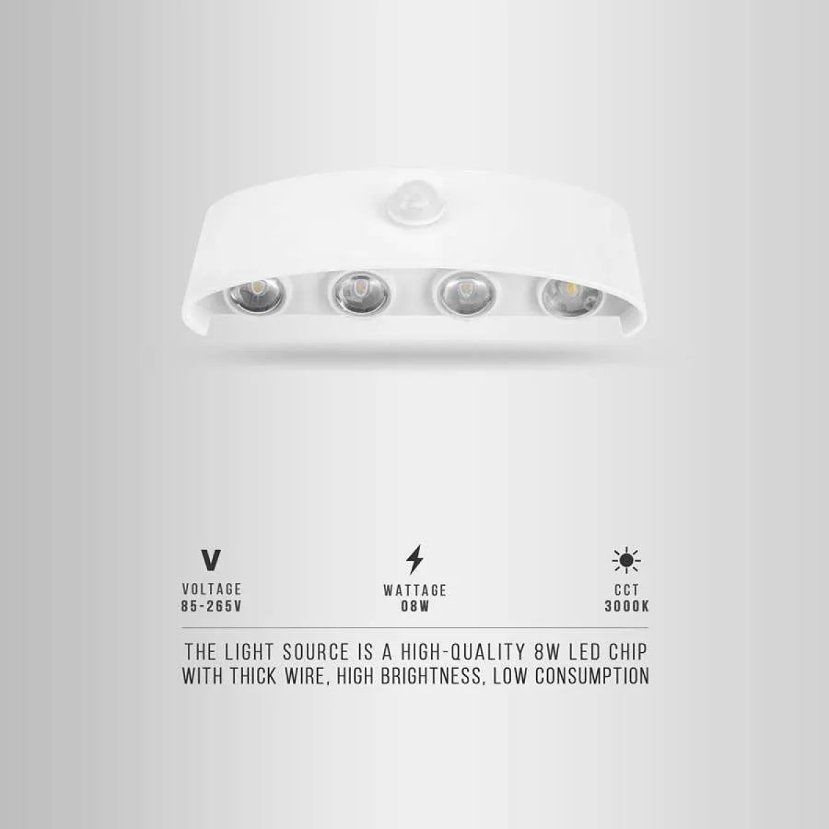 LED Wall Lights Indoor /Outdoor Up and Down~4503