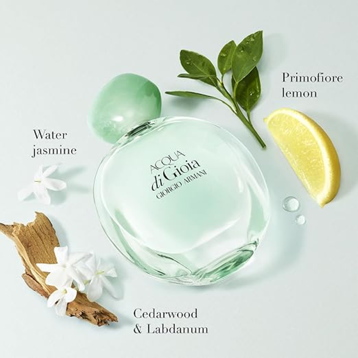 Armani Miniature Gift Set (Acqua Di Gio EDT 5ml  Acqua Di Gioia EDP 5ml)