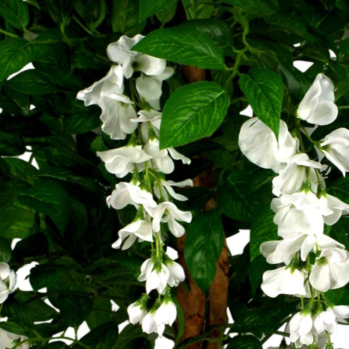 130cm Luxury Artificial Wisteria Tree White Flowers - Premium Range Copper Metal Planter