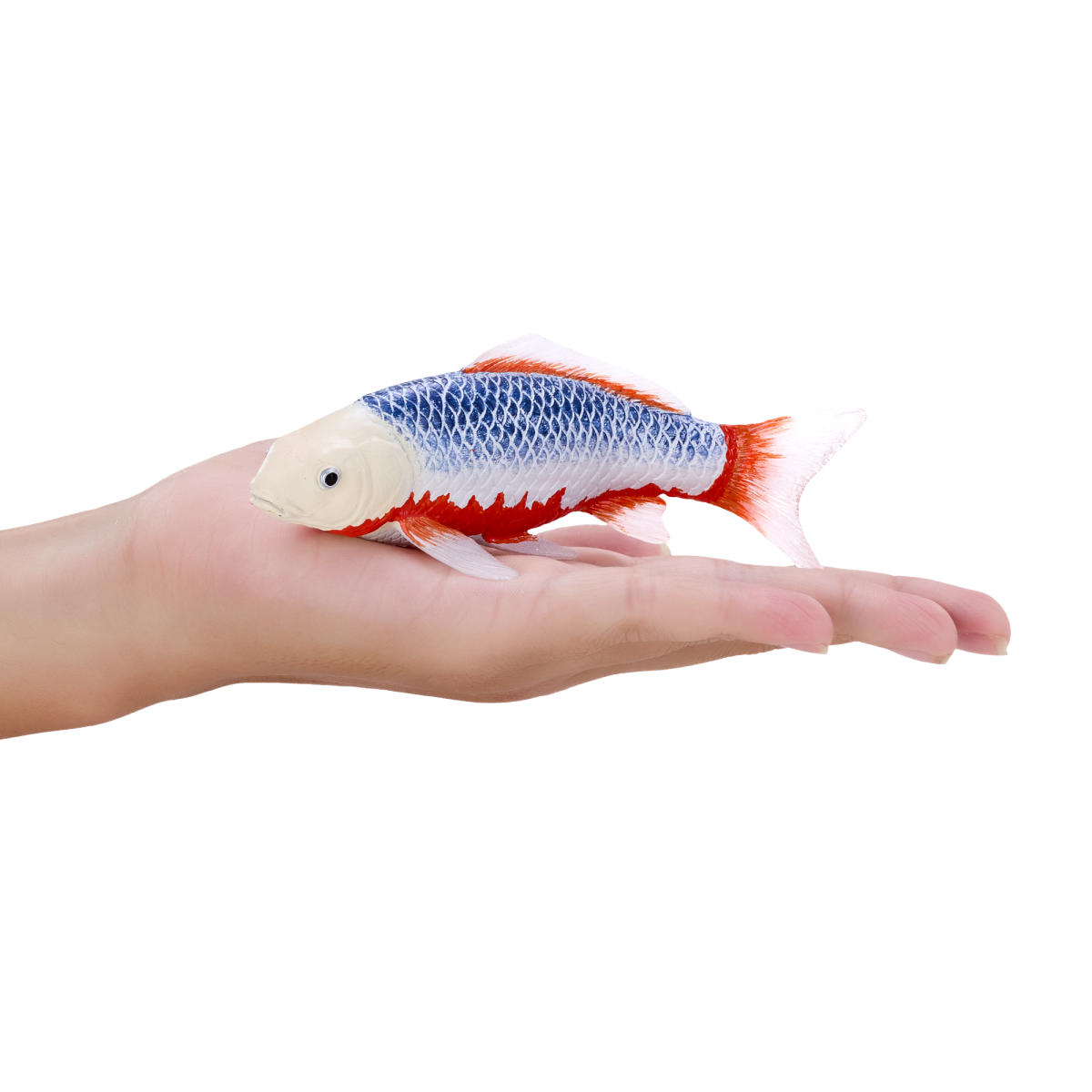 Koi Carp Asagi Toy  Realistic Fish Figurine