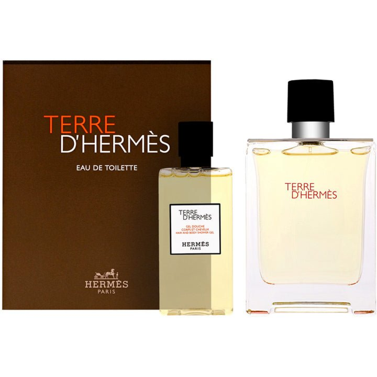 Hermès Terre dHermès Gift Set (Eau De Toilette 100ml  Shower Gel 80ml)