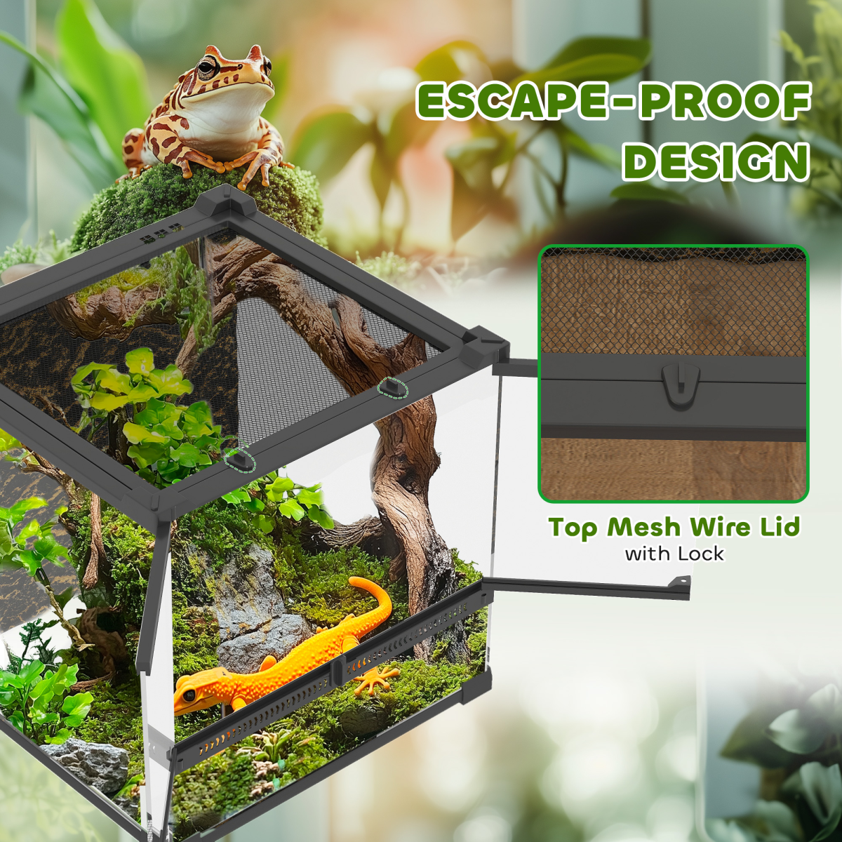 Reptile Glass Terrace