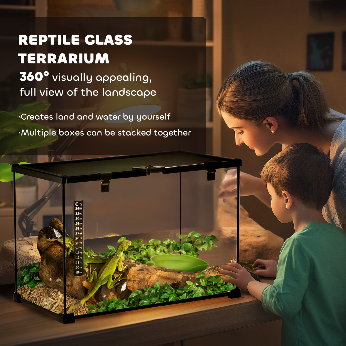 50 x 30 x 35 cm Reptile Terrarium for Lizards, Horned Frogs, Snakes, Black