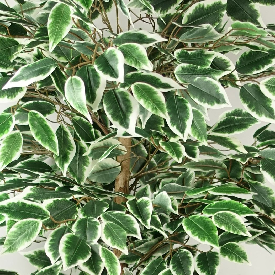 150cm Artificial Silk Ficus Tree