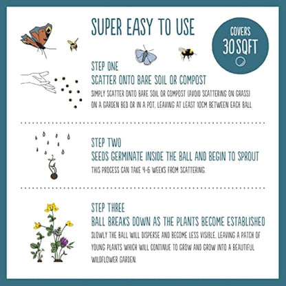 SEEDBALL Urban Meadow Mix Seed Bombs (Wild Flower Tin) – 20 Balls | British Wildflower Seeds - Seed Bomb for Bees, Butterflies, Birds & Garden Wildlife – A Colourful Mix of Annuals & Perennials