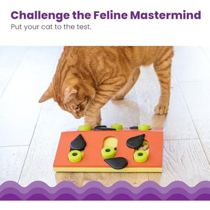 Nina Ottosson by Catstages Melon Madness Puzzle & Play - Interactive Cat Treat Puzzle