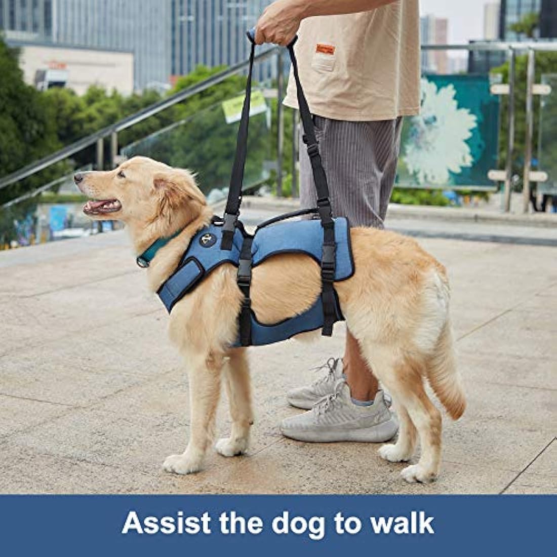 Coodeo Dog Lift Harness, Support & Recovery Sling, Pet Rehabilitation Lifts Vest Adjustable Breathable Straps for Old, Disabled, Joint Injuries, Arthritis, Paralysis Dogs Walk (Large)