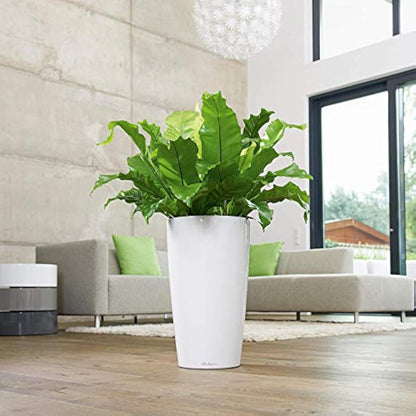 Lechuza RONDO 32 Self Watering Planter Large Plastic Indoor and Outdoor Plant Pot with Drainage Hole D32 H56 cm White High-Gloss