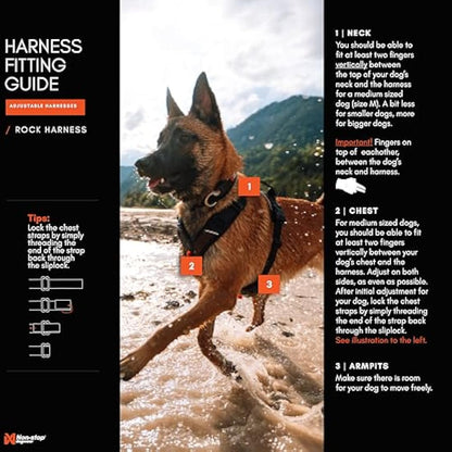 Rock Harness Parent (S)