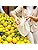 Belle Vous Cotton Muslin Bags (10 Pack) - Small Drawstring Bag/Canvas Drawstring Bag Set - Burlap Bags for Toiletry Bag, Produce Storage & More - Reusable Cotton Drawstring Bags