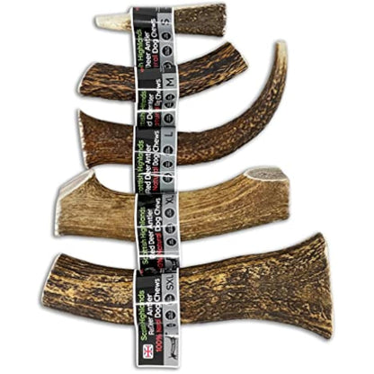 Scottish Deer Antler Dog Chews - Naturally Shed, Long Lasting, 100% Natural… (Deer Antler Chew SXL 350-450g)