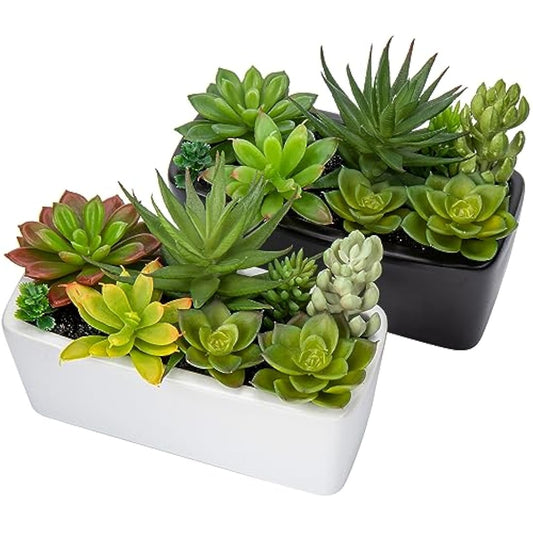 Briful 2 Packs Artificial Succulent Plants Faux Succulents in Black Ceramic Pot, Fake Plants Artificial Succulents Potting Mix Artificial Plants in Pot for Office Home Bathroom Shelf Decor