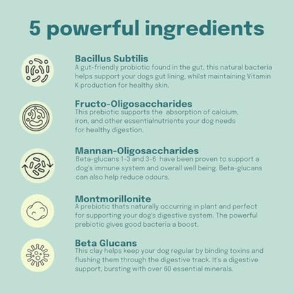 Buddy and Lola Probiotics for Dogs - High CFU Count, Plant-Based Dog Probiotics Powder for Gut Health and Skin Health - Essential Dog Soil Based Probiotic Supplement