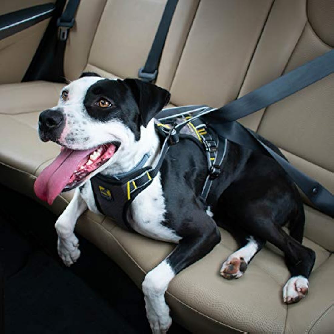 Kurgo Impact Dog Car Harness, Crash Tested, Integrates with Car Seatbelt System, Lightweight, Extra Large-Black/Charcoal Grey