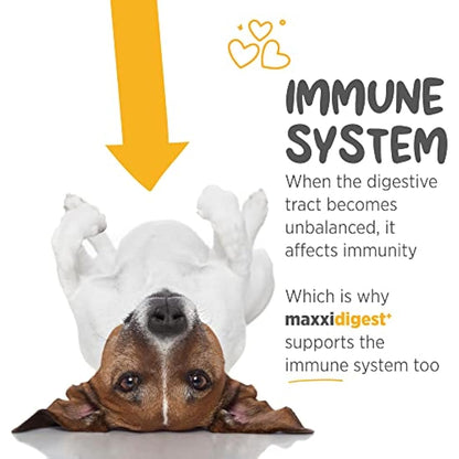 maxxipaws maxxidigest+ Probiotic & Prebiotic Powder Supplement - Digestive & Immune Support for Dogs, 200g