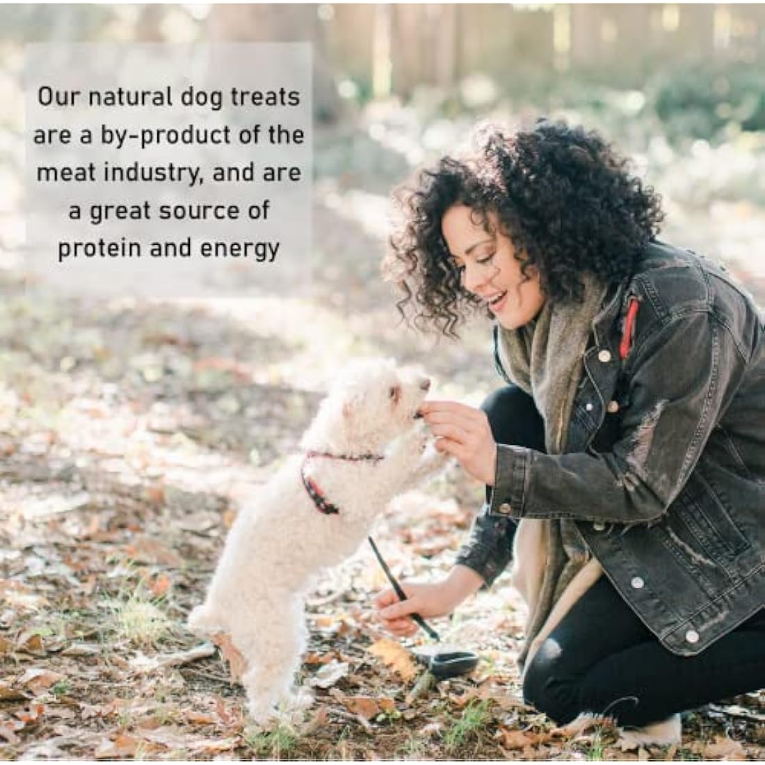 *Premium* Rabbit Ears with Fur 1kg Natural Dog Treats Chews Hypoallergenic Hair LOD3