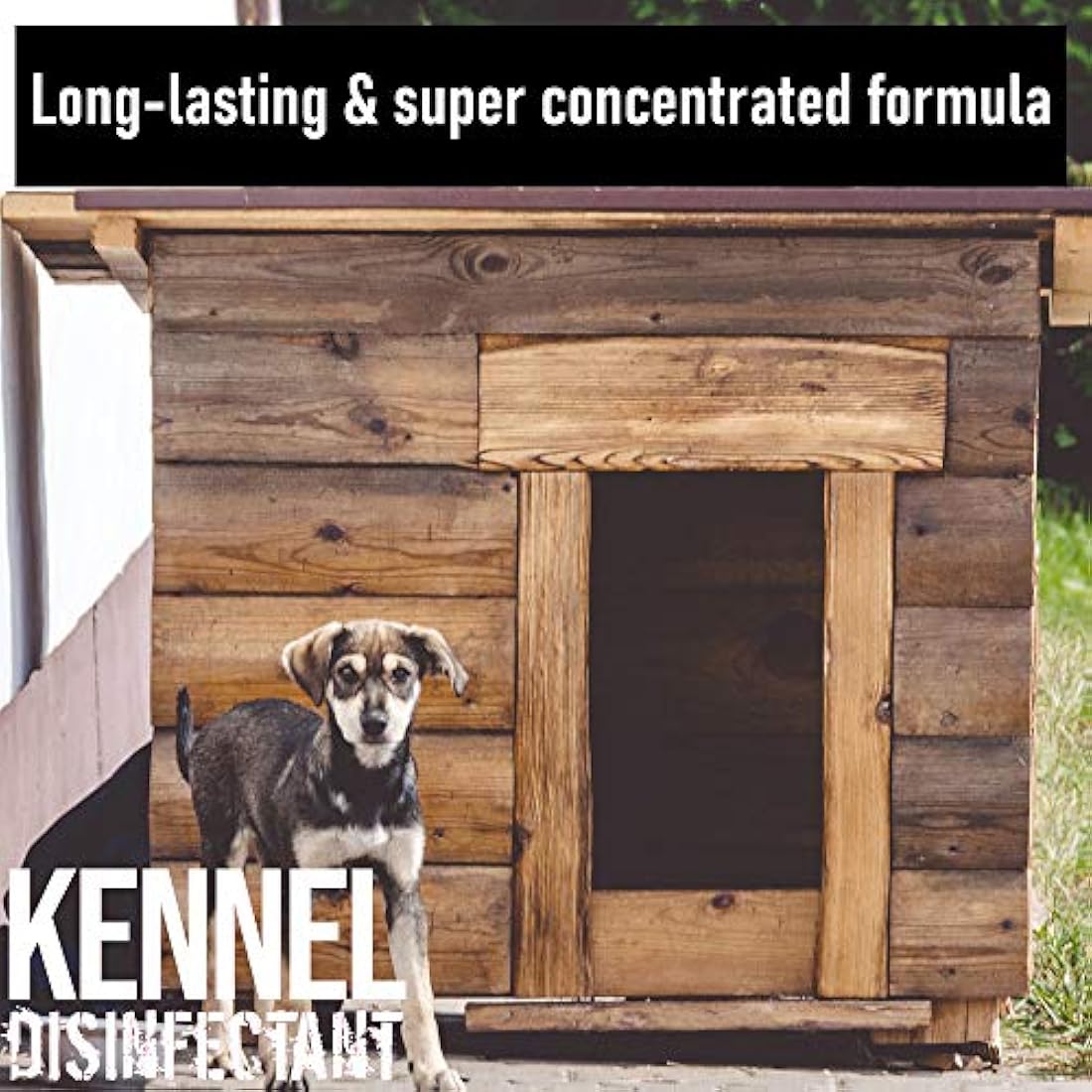 ULTIMA-PLUS XP Kennel Kleen - Disinfectant, Cleaner, Sanitiser, Deodoriser, Concentrated, For use in Kennels, Catteries, Hatches and More! Lavender Fragrance, 5 L