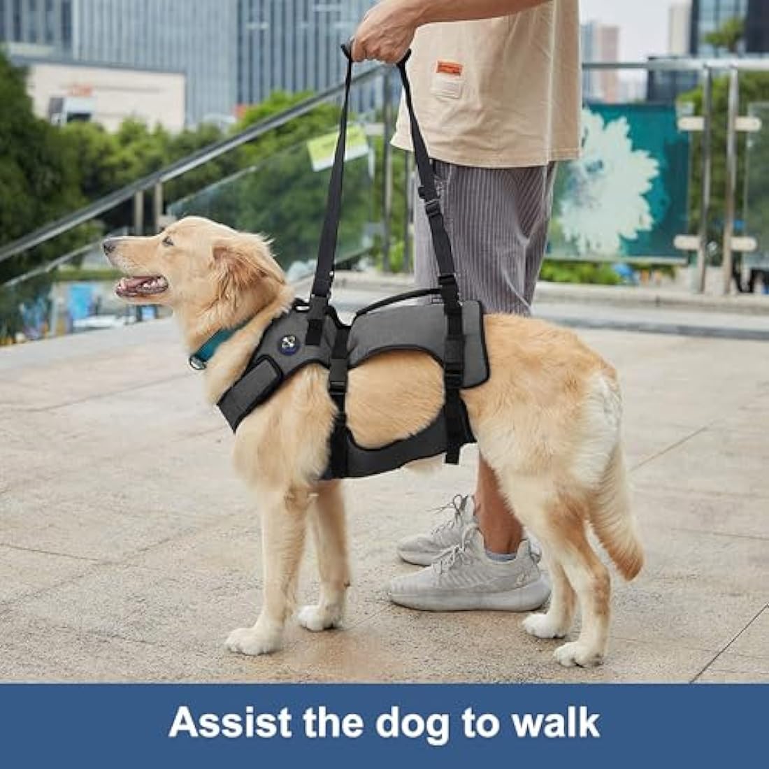 Coodeo Dog Lift Harness, Support & Recovery Sling, Pet Rehabilitation Lifts Vest Adjustable Breathable Straps for Old, Disabled, Joint Injuries, Arthritis, Paralysis Dogs Walk (Grey,2XLarge)