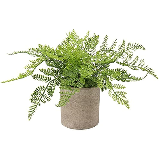 Artificial Rabbit's Foot Fern Fern Plant in Pot, Decorative Fake Plant Indoor, Faux Grass for Home Decor Bedroom Living Room Shelf Office